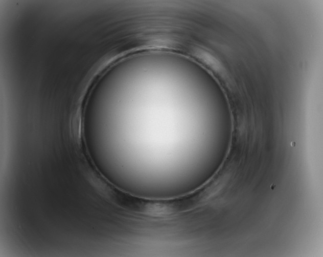X0000089391275200706151216