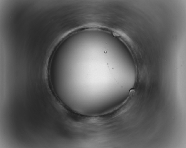 X0000089391279200706151215