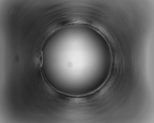 X0000089391281200706151215