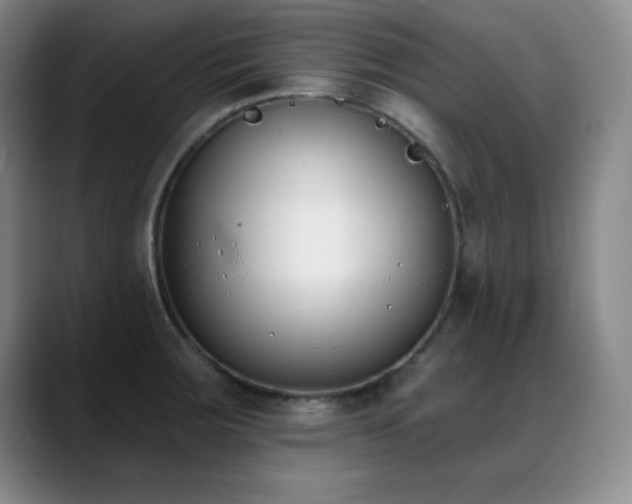 X0000089391283200706151215