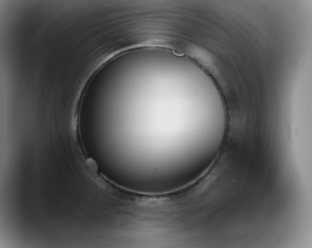 X0000089391284200706151215