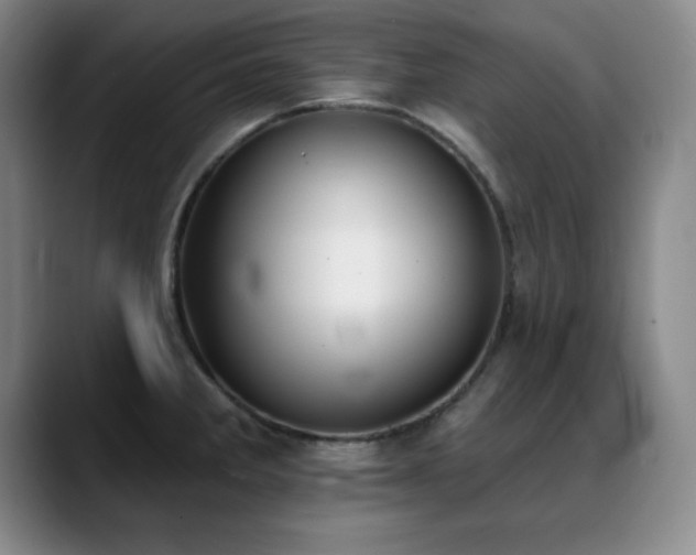 X0000089391285200706151215