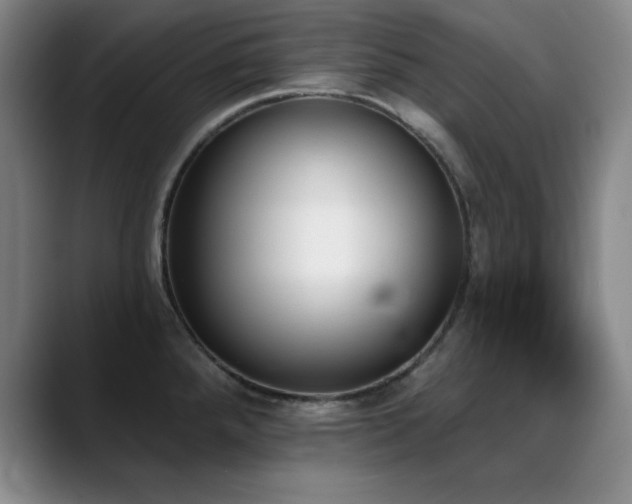 X0000089391288200706151215