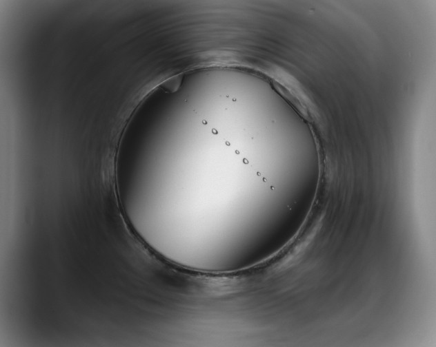 X0000089391289200706151215