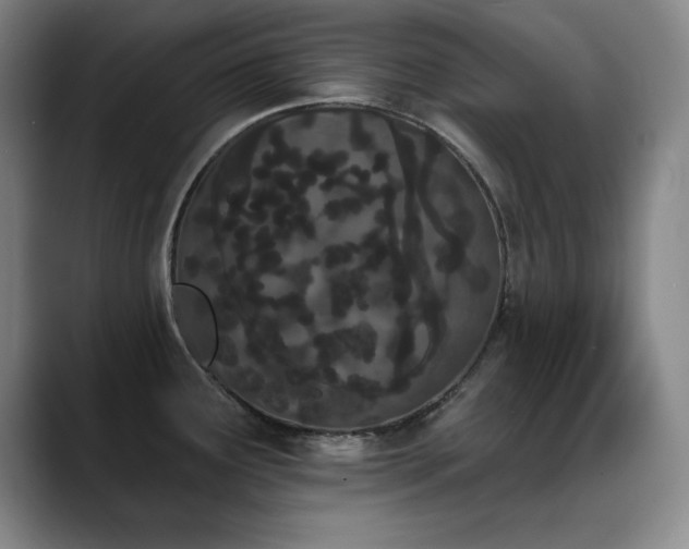 X0000089391291200706151215