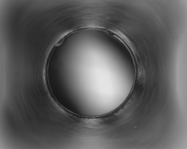 X0000089391293200706151215