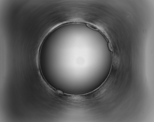 X0000089391295200706151215