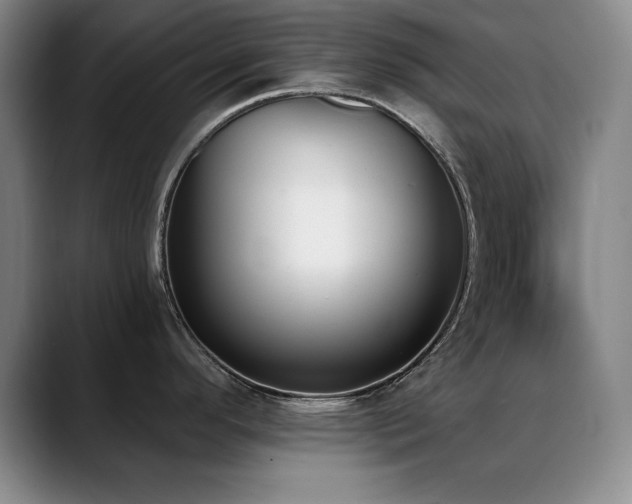 X0000089391296200706151215