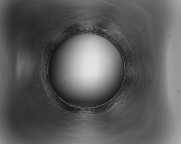 X0000089391297200706151215