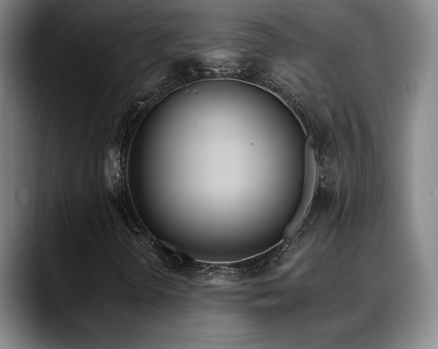 X0000089391298200706151215
