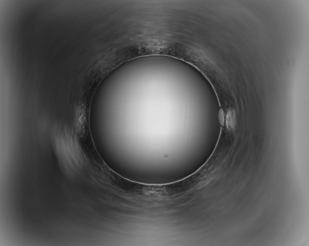 X0000089391299200706151215