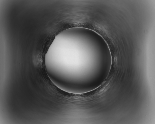 X0000089391300200706151215