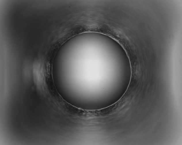 X0000089391301200706151215