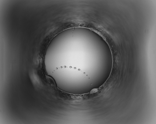 X0000089391302200706151215