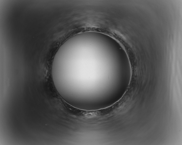 X0000089391303200706151215