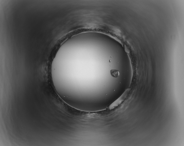 X0000089391304200706151215