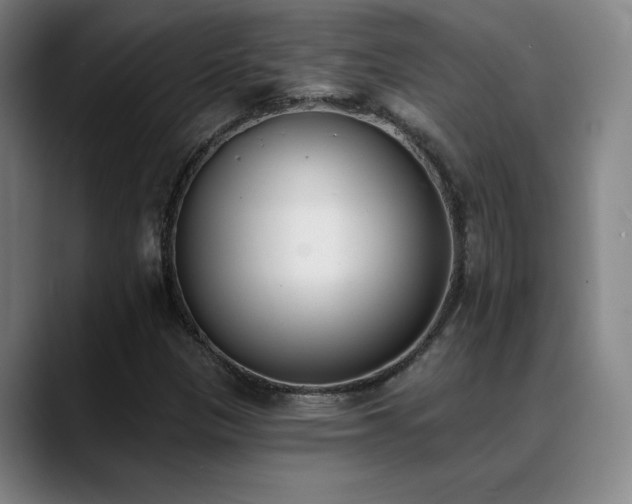 X0000089391305200706151215