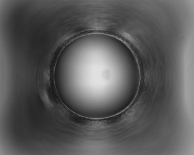 X0000089391307200706151215