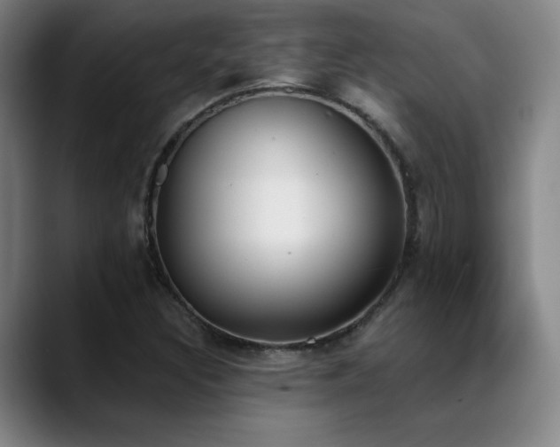 X0000089391308200706151215