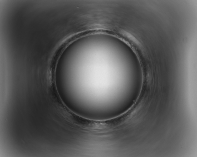 X0000089391310200706151215