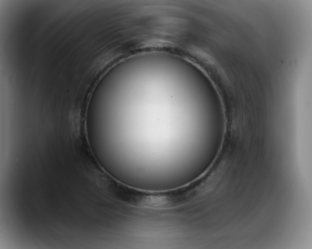 X0000089391313200706151215