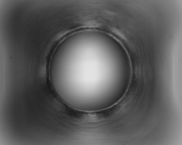 X0000089391315200706151215