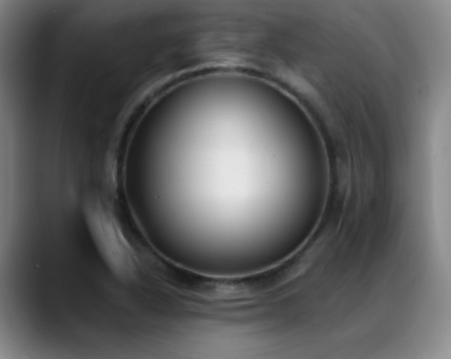 X0000089391318200706151215