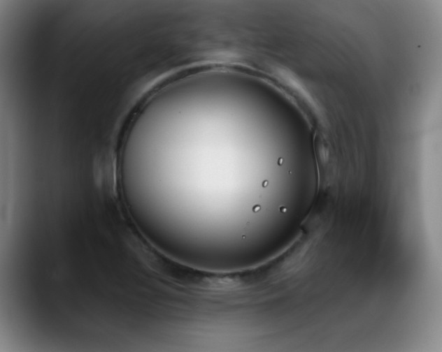 X0000089391320200706151215
