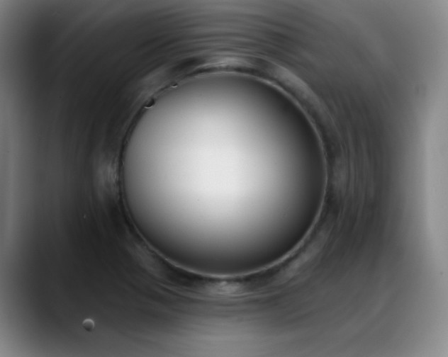 X0000089391321200706151215