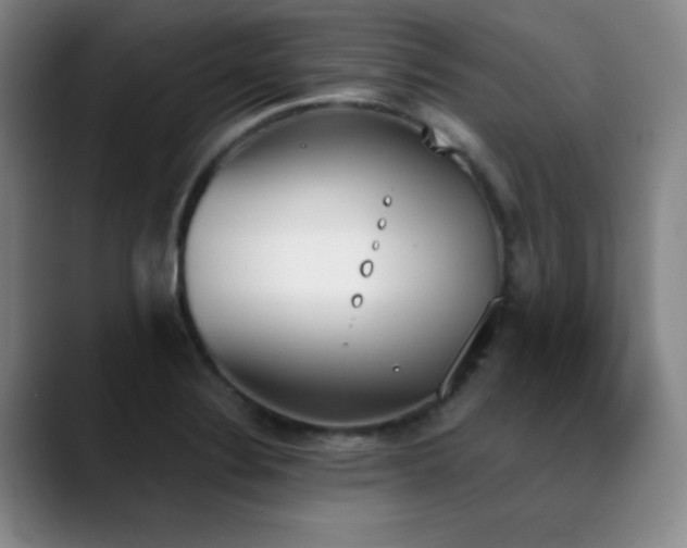 X0000089391324200706151215