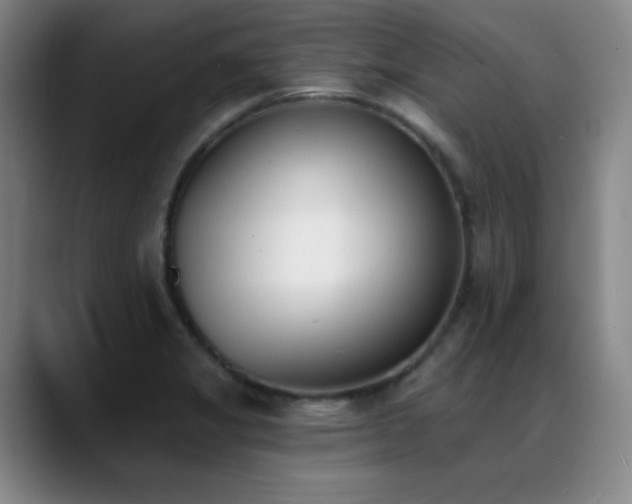 X0000089391325200706151215