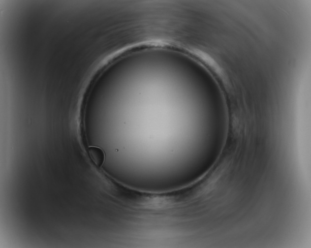X0000089391327200706151215