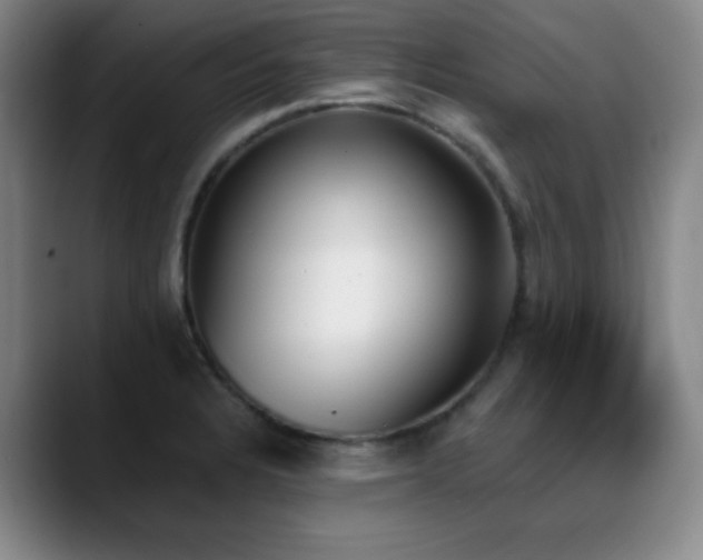 X0000089391328200706151215