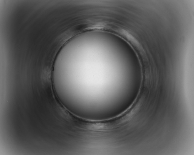 X0000089391329200706151215