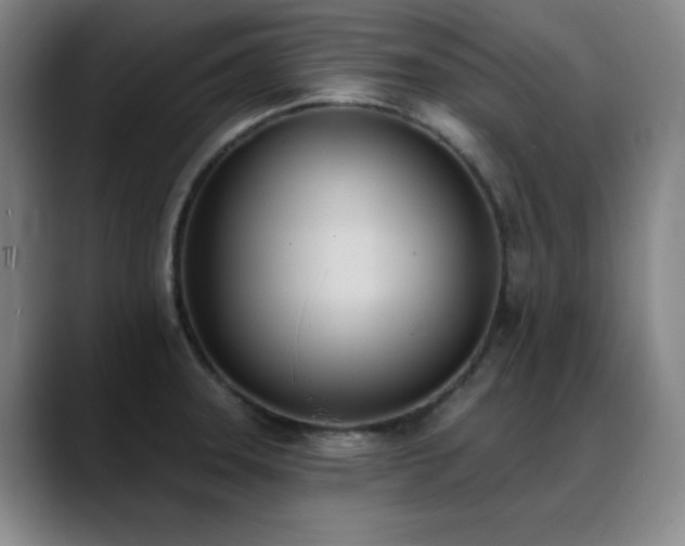 X0000089391331200706151215