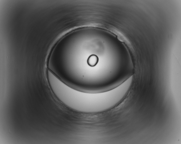 X0000089391332200706151215