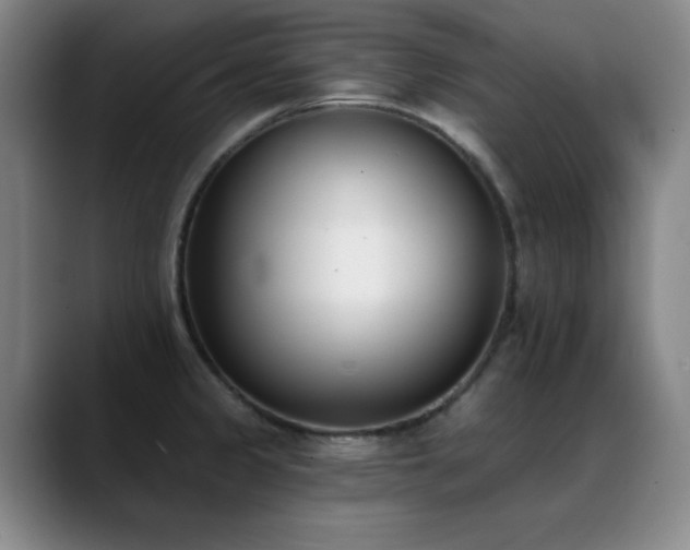 X0000089391333200706151215