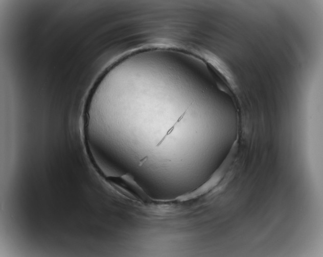 X0000089391334200706151215