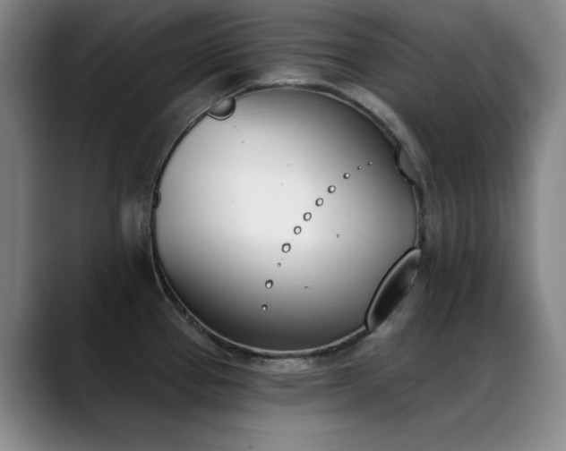 X0000089391337200706151215