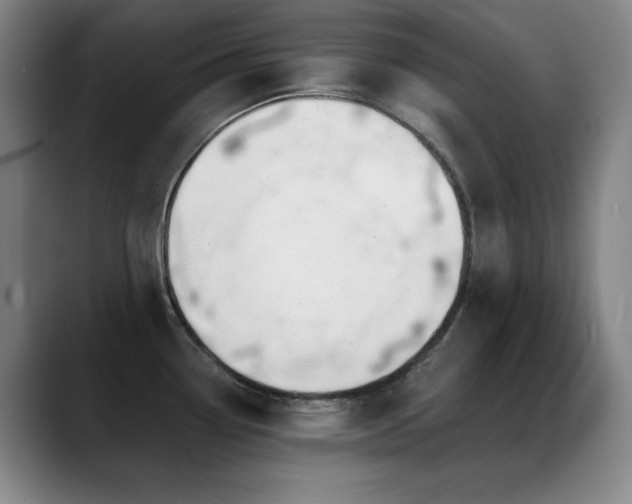 X0000089391338200706151215