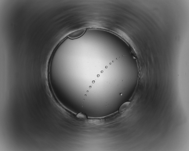 X0000089391339200706151215