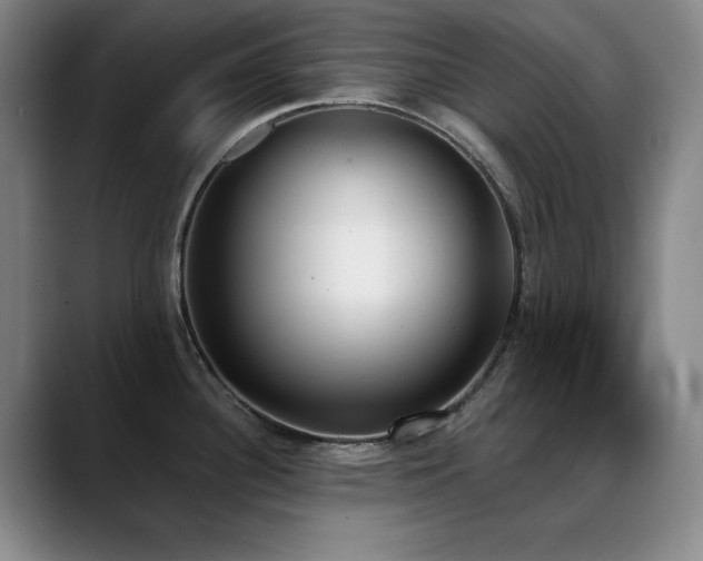 X0000089391340200706151215