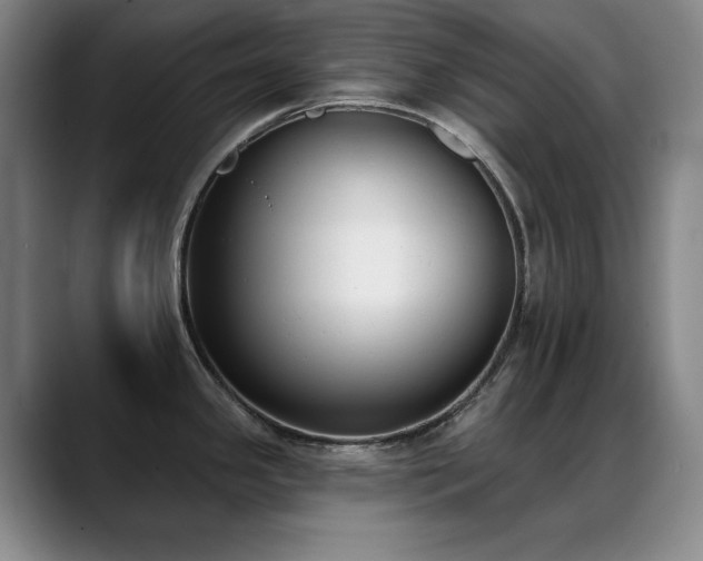 X0000089391341200706151215