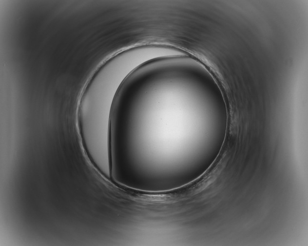 X0000089391342200706151215