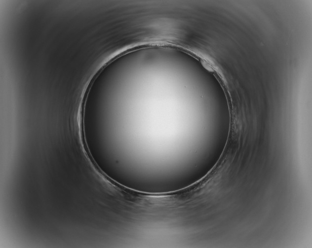X0000089391343200706151215