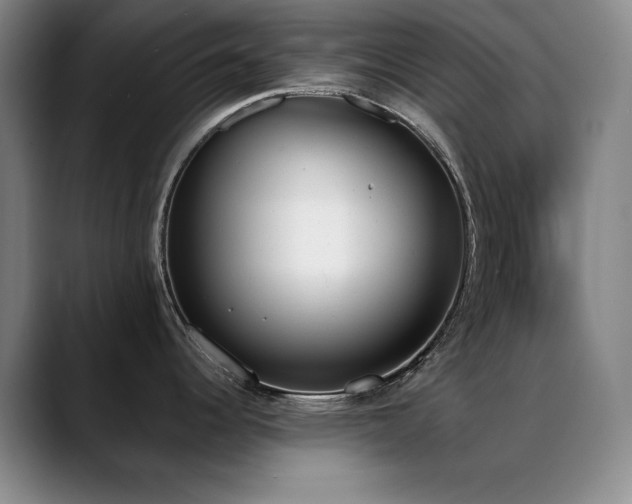 X0000089391344200706151215