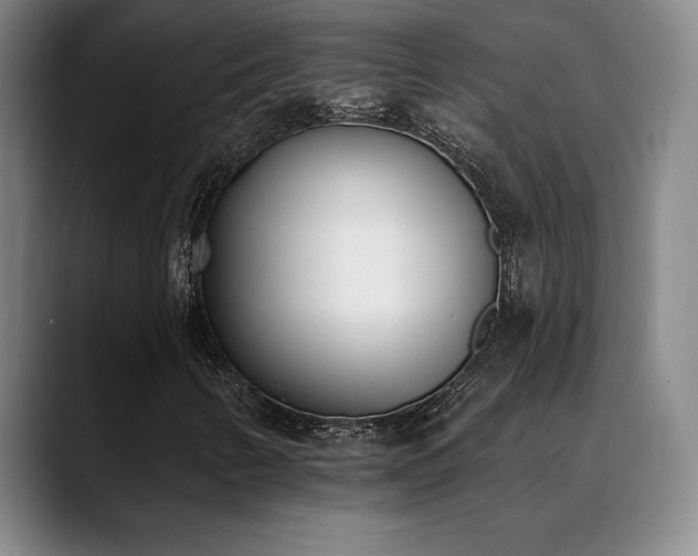 X0000089391346200706151215