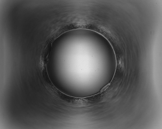 X0000089391348200706151215