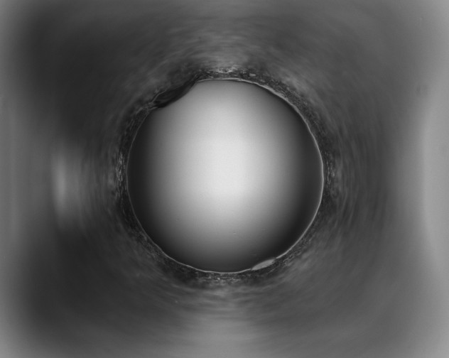 X0000089391349200706151215