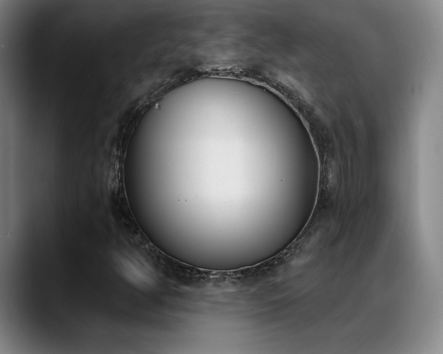 X0000089391350200706151215